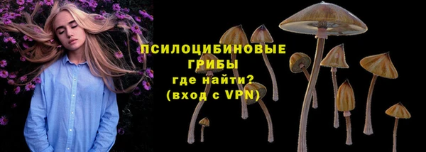 MESCALINE Осинники