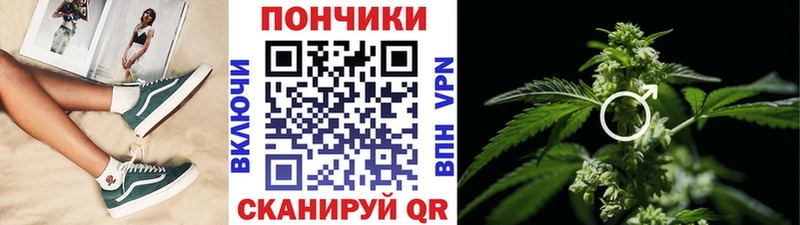 Купить закладки  Лосино-Петровский  Бошки марихуана планчик 